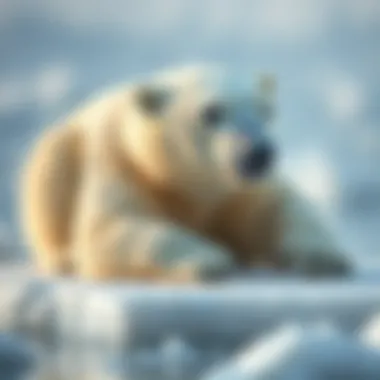 A serene polar bear resting on an ice floe, embodying climate adaptation