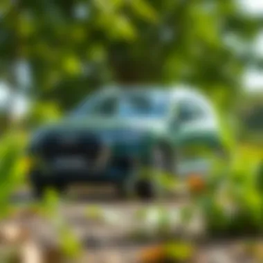 Audi Q7 electric car parked in a vibrant outdoor setting