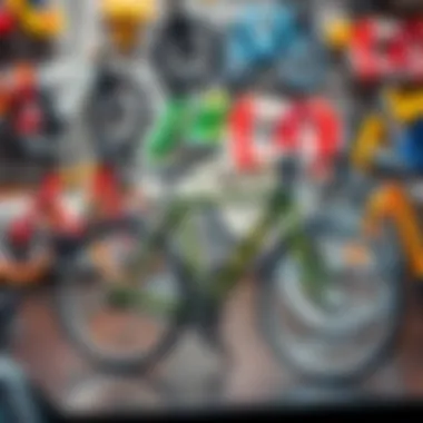 Different bicycle materials displayed