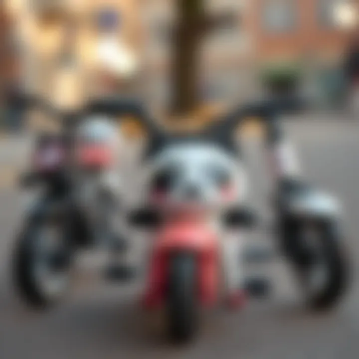 Different models of three-wheeled panda bicycles for various age groups