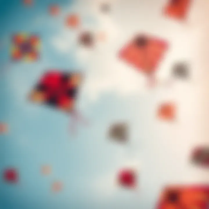 Various types of kites soaring in the sky, demonstrating their captivating patterns.