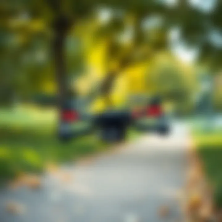 Mini drone flying in a park