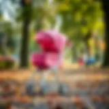 Stylish pink baby stroller in a park