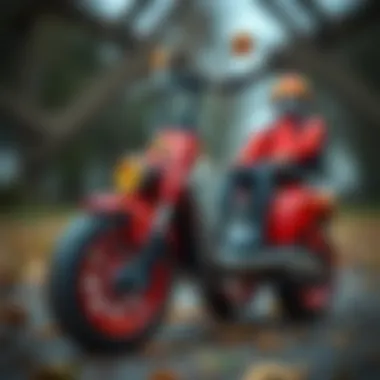 Maintenance of the Rookie Big Foot Scooter