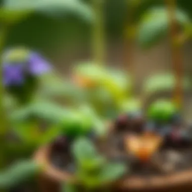 A serene garden scene featuring green ladybugs